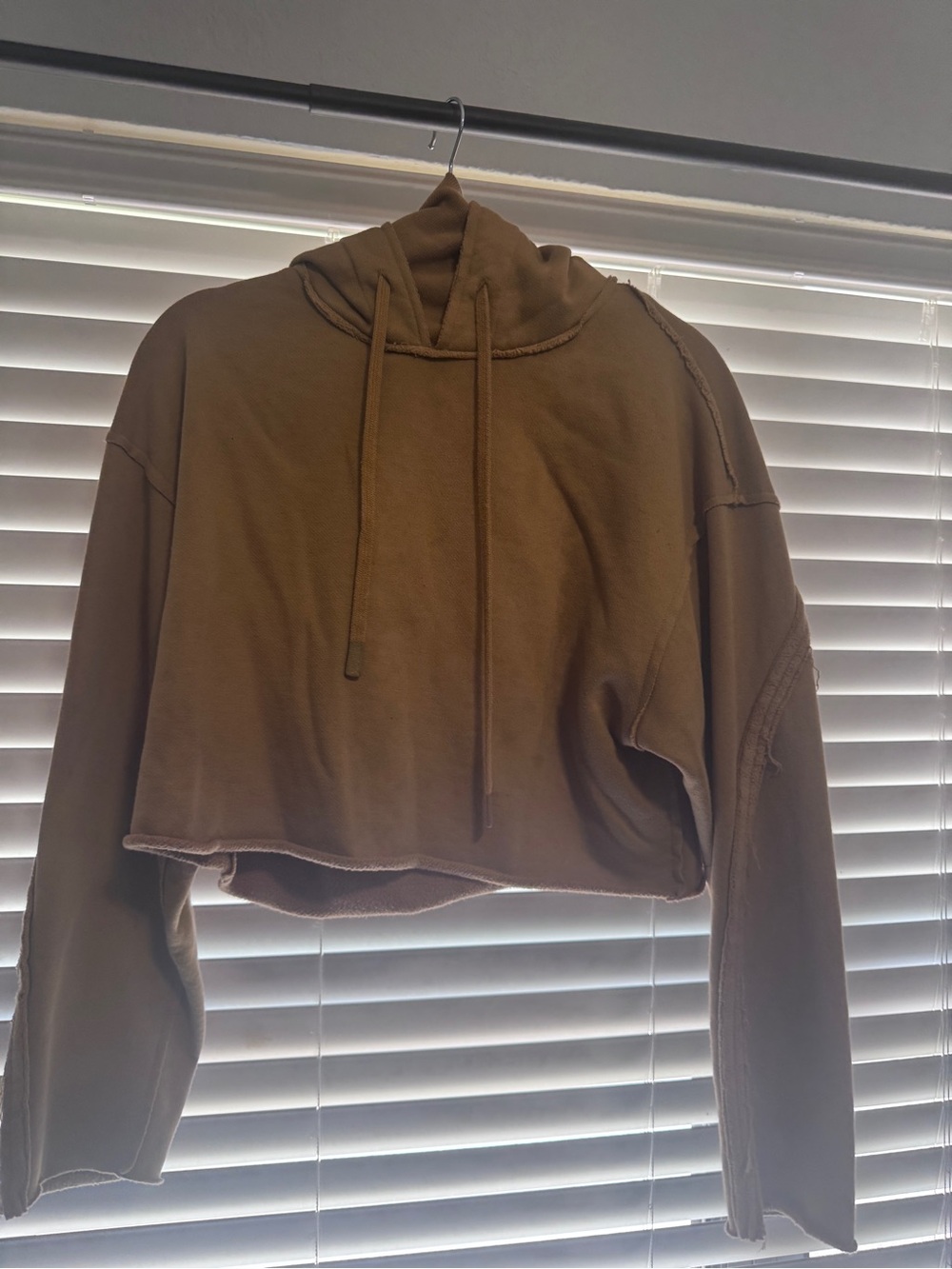 ALO Yoga Cropped Hoodie in Camel Brown